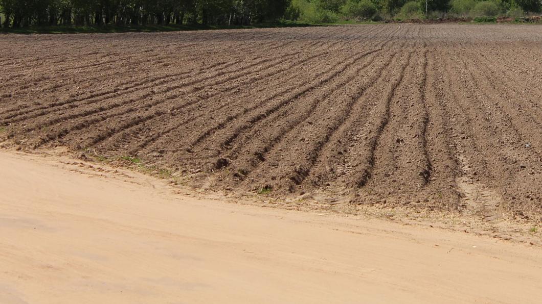 Heesch West is nu nog landbouwgrond straks bedrijventerrein