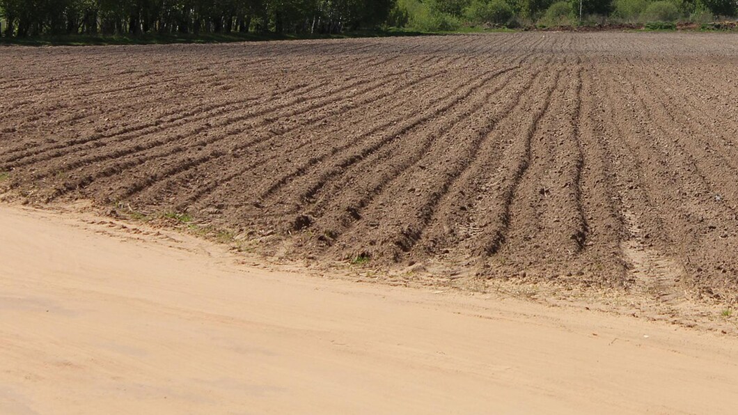 veld bestemd voor bedrijventerrein Heesch West