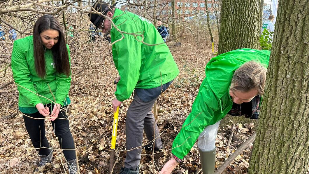 Bossche GroenLinksers oogsten zaailingen om die te verplanten