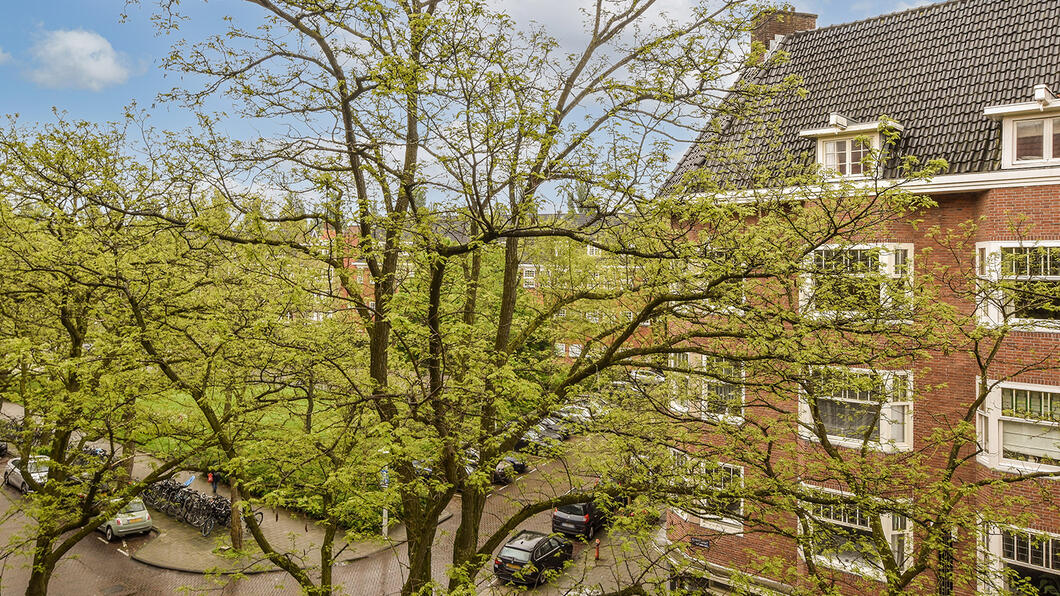 bomen-stad