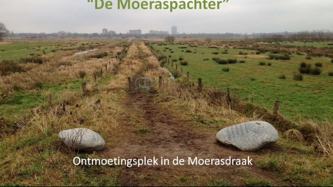 bidbook moerasdraak omslag september 2015.jpg