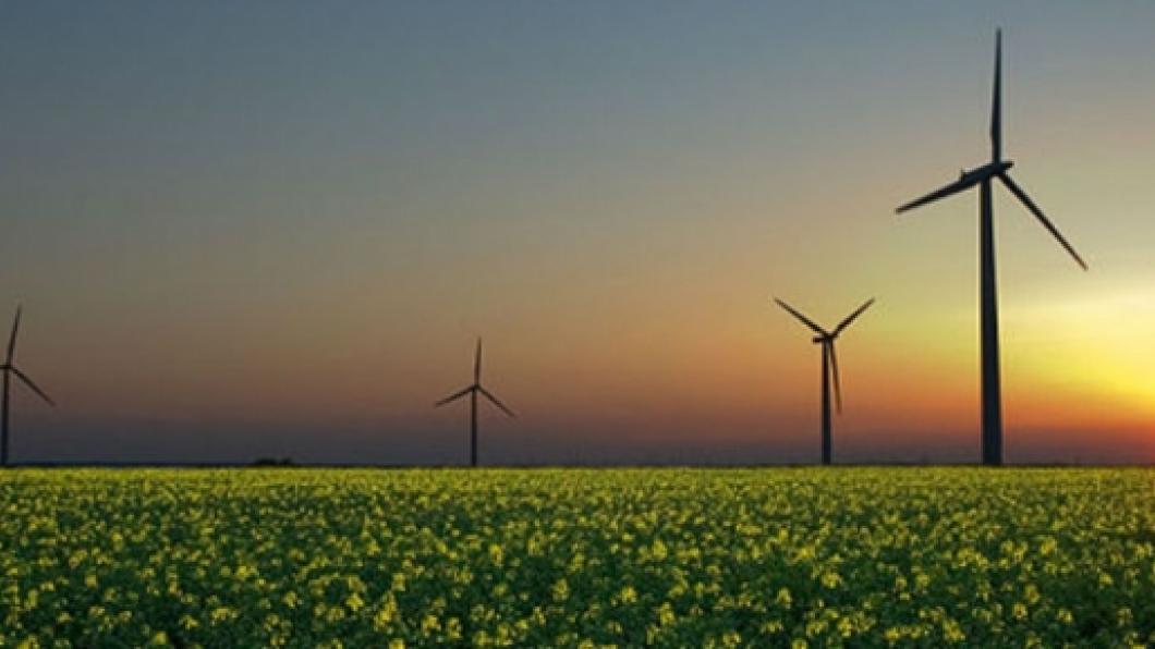 windmolens op land groenlinkswebsite.jpg
