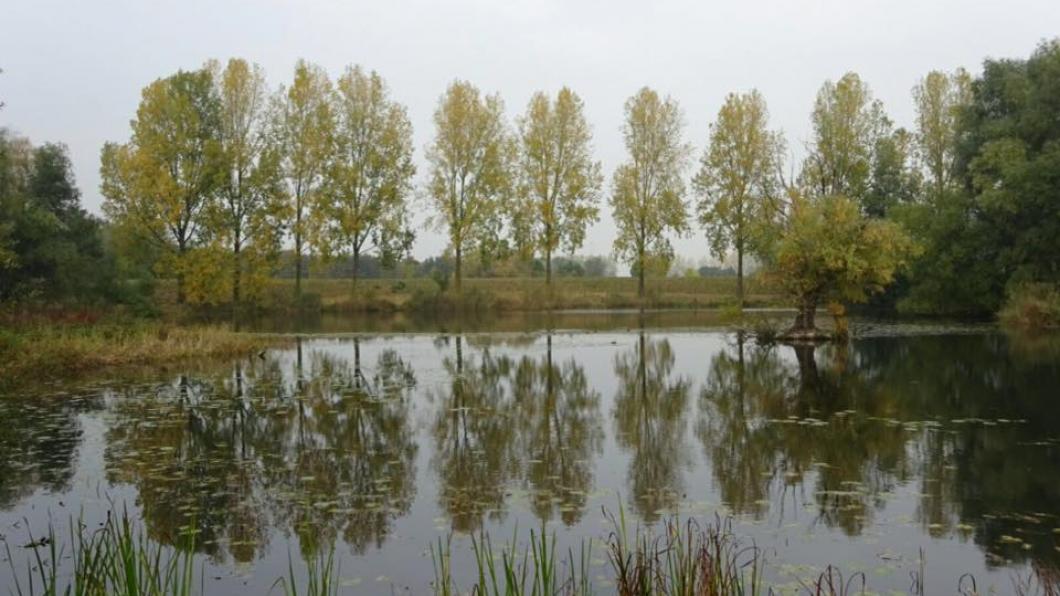 Ertveldplas Ertveldplas