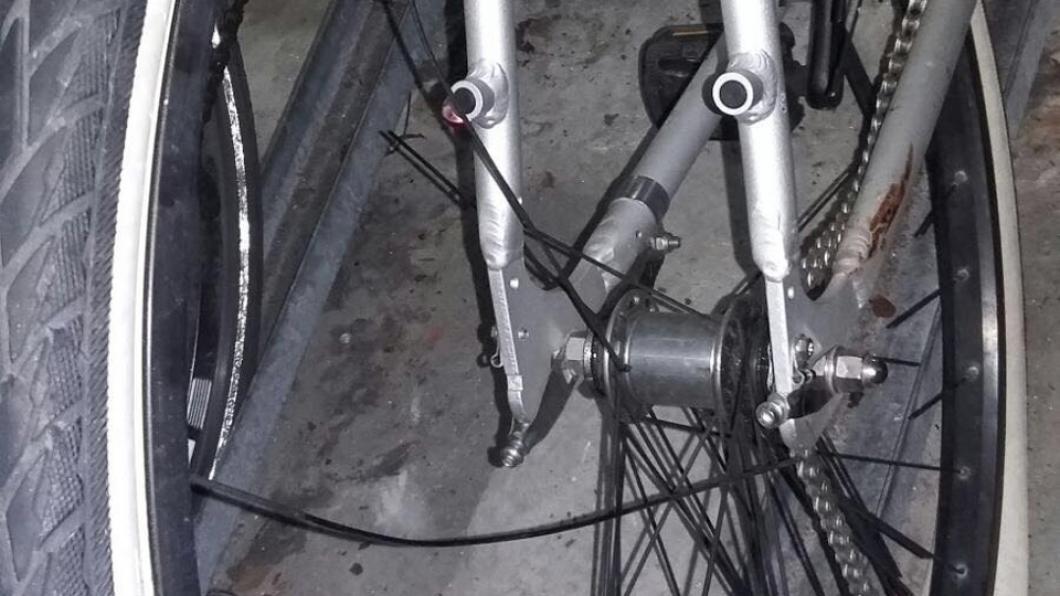 fiets truuske ns stalling april 2016.jpg