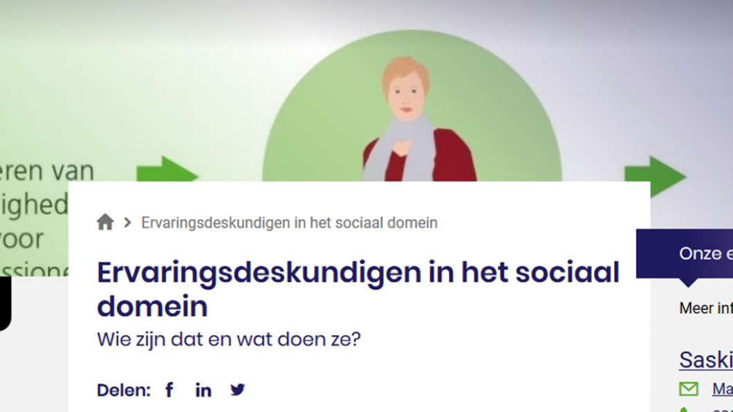 header movisie ervaringsdeskundigheid.png