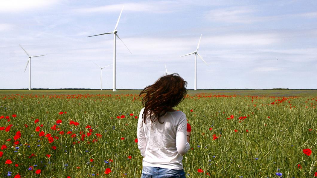 gemeente 's-Hertogenbosch klimaatneutraal