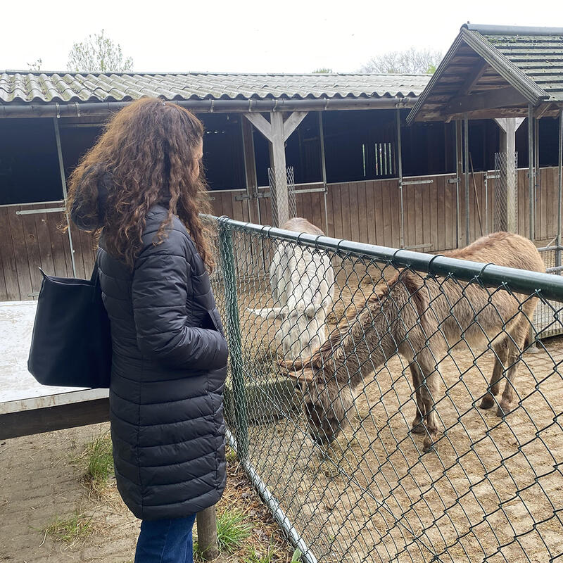 Oosterhoeve