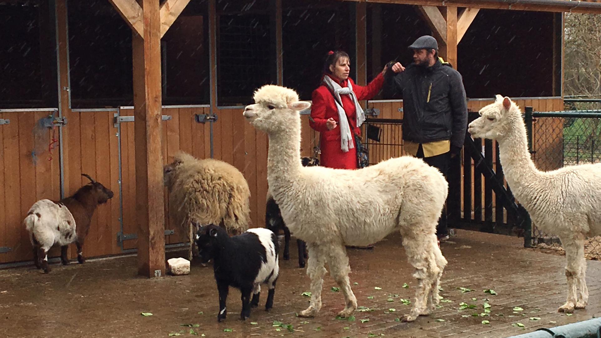 dieren op kinderboerderij de Oosterhoeve, op de foto ook beheerder Anja Kouwenberg
