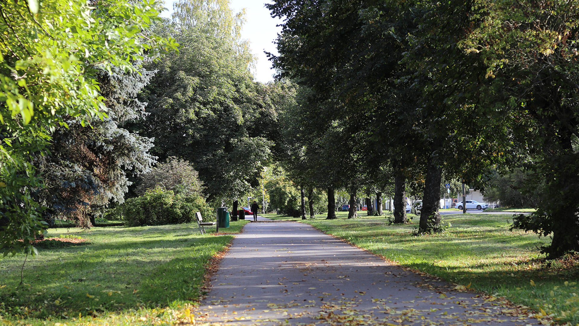 park in stad