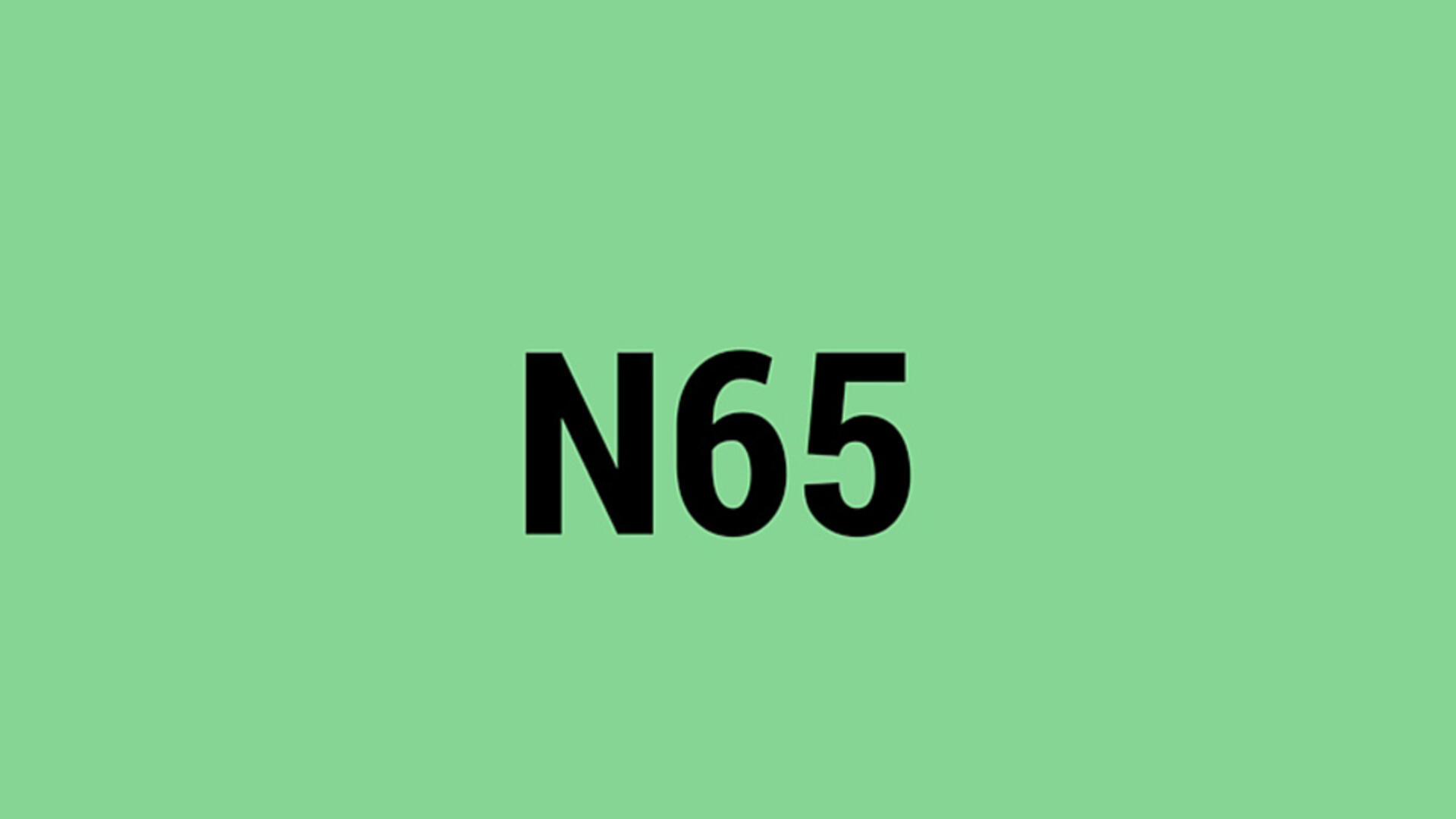 N65 webversie lichtgroen.jpg