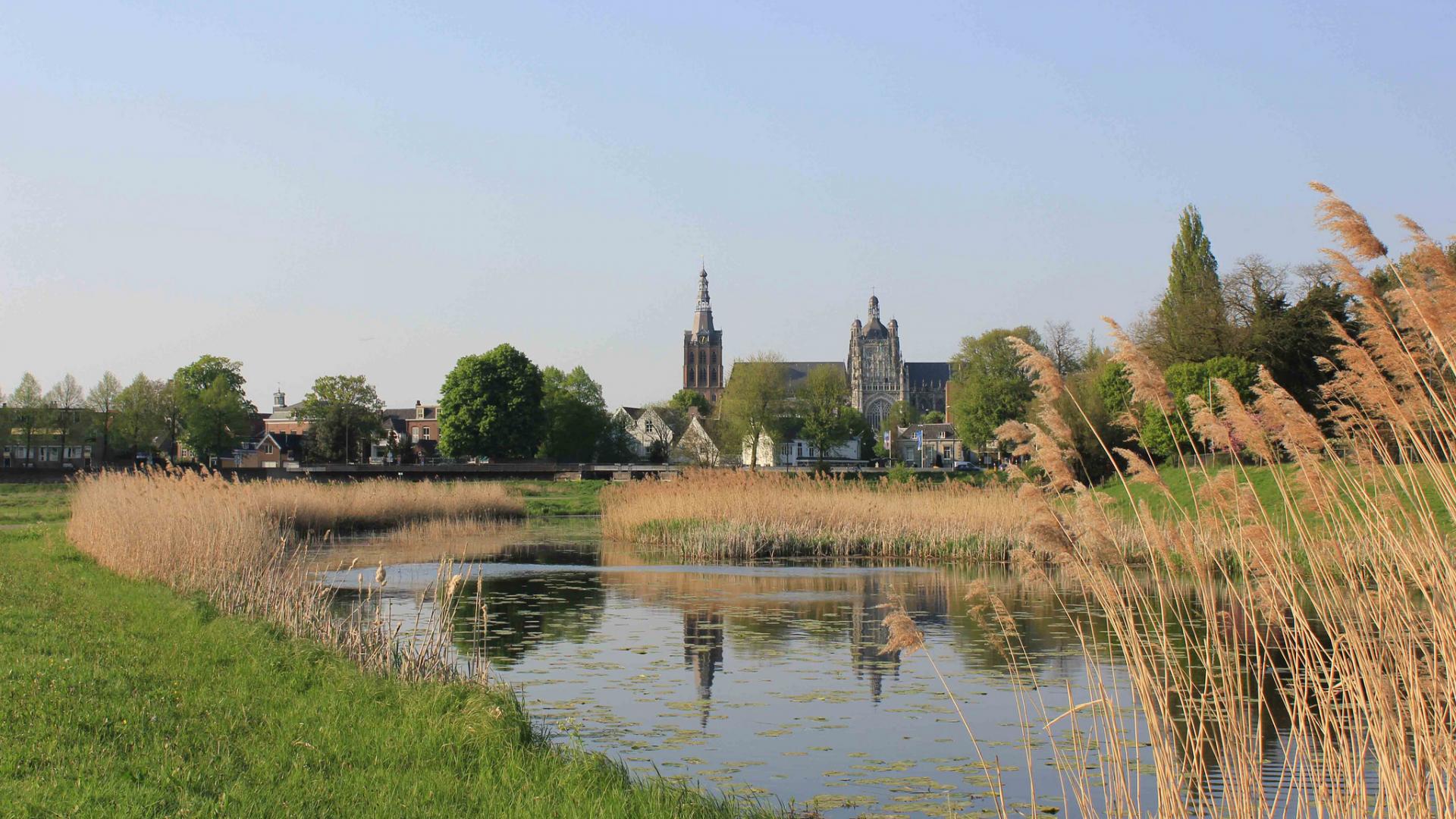 Bossche Broek